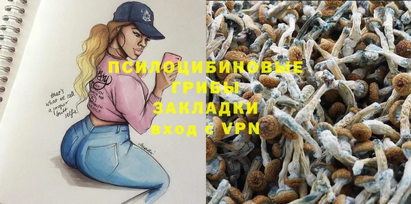 apvp Алексеевка