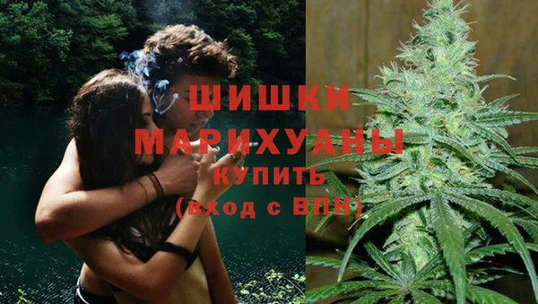 гидропоника Алзамай