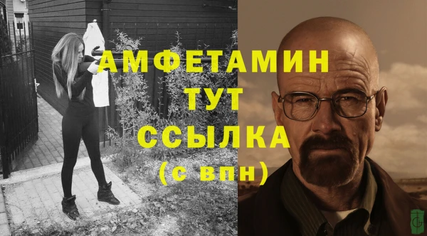 стафф Алексин