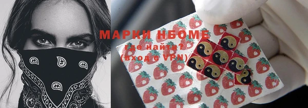 гидропоника Алзамай
