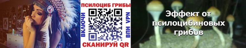 наркота  Шелехов  Псилоцибиновые грибы ЛСД 